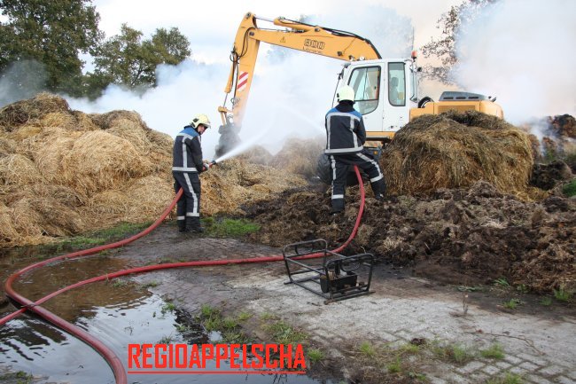 Regio Appelscha